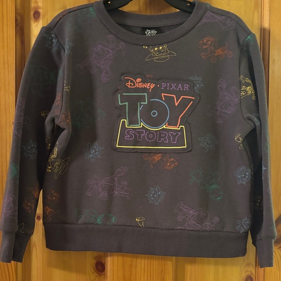 Disney Toy Story Sweatshirt - Multicolor on Gray - Picture 1 of 4